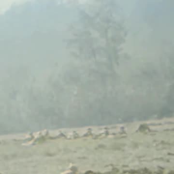 53 ⚔️ In gaming, if the enemy ambushes, then counter with surprise