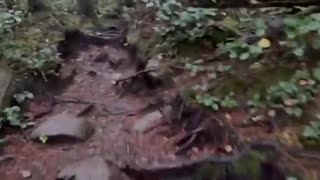 I Didn’t Expect Wallace Falls To Hit Me This Hard ~ I Can’t Believe I Made It To The End!