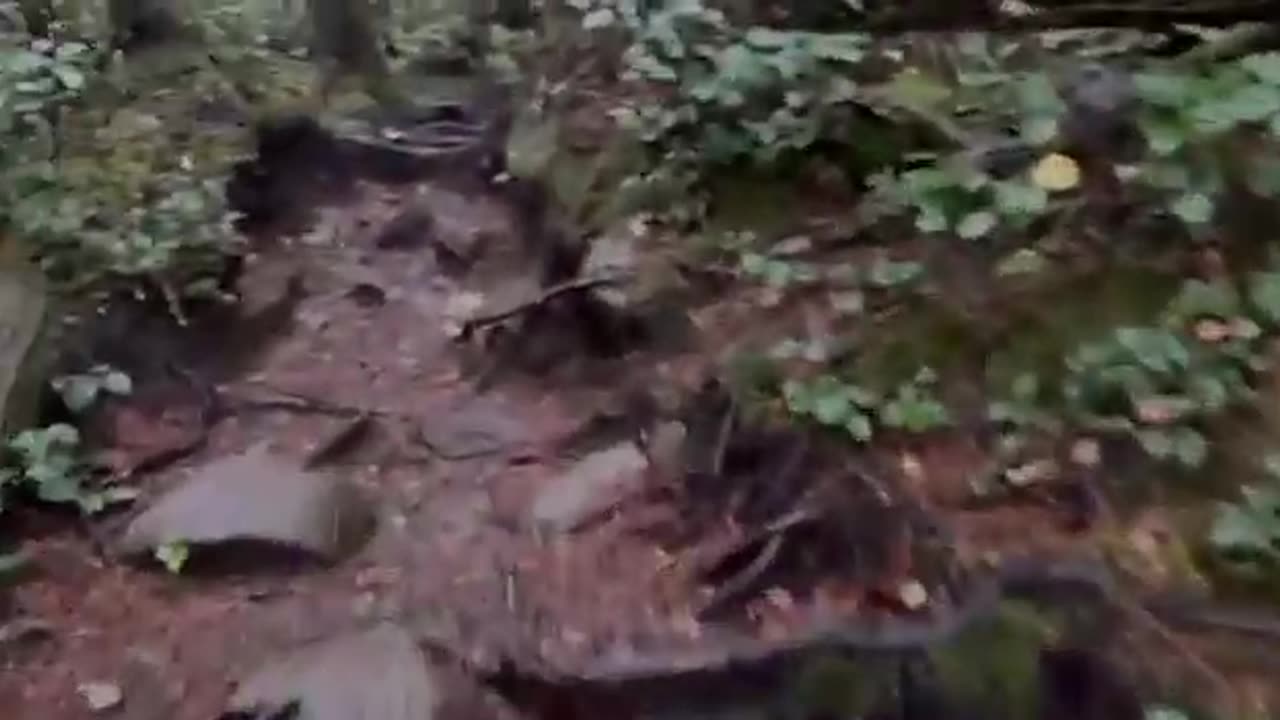 I Didn’t Expect Wallace Falls To Hit Me This Hard ~ I Can’t Believe I Made It To The End!