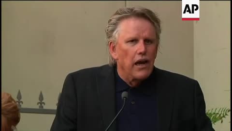 Gary Busey gets probation for sexual offense at 2022 horror convention