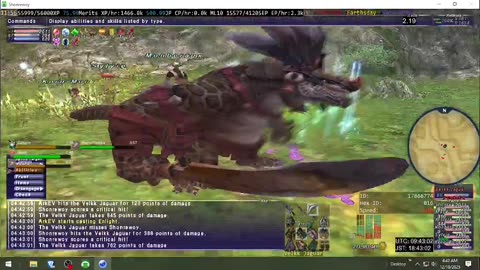 Playing Final Fantasy XI Online