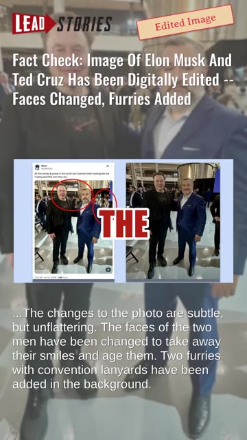 Fact Check: Image Of Elon Musk And Ted Cruz Digitally Edited -- Faces Changed, Furries Added