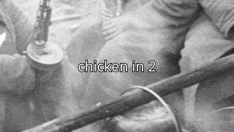 Guard the precious chicken