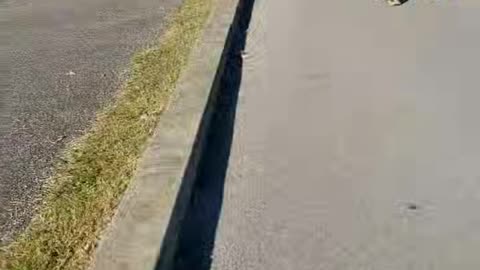 What do your race goals look like?