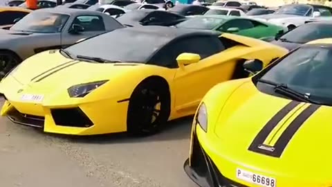 💨🏎️ Choose One: Lamborghini or Bugatti! | LuxurySportsCars