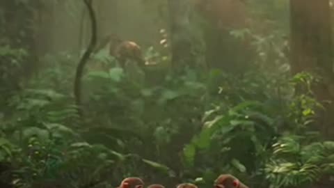 Playful Monkey Mischief