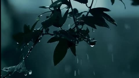 Daily Horoscope | Scorpio 🌟