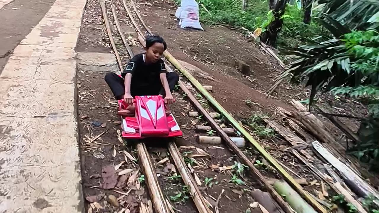 Roller Coaster in the Forest