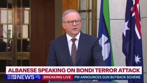 Australian PM Albanese: "Hundreds of thousands of firearms will be collected & destroyed."