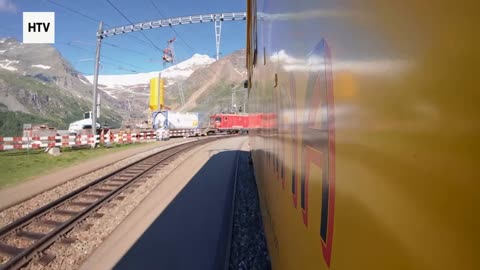 The Beat of the Rainforest