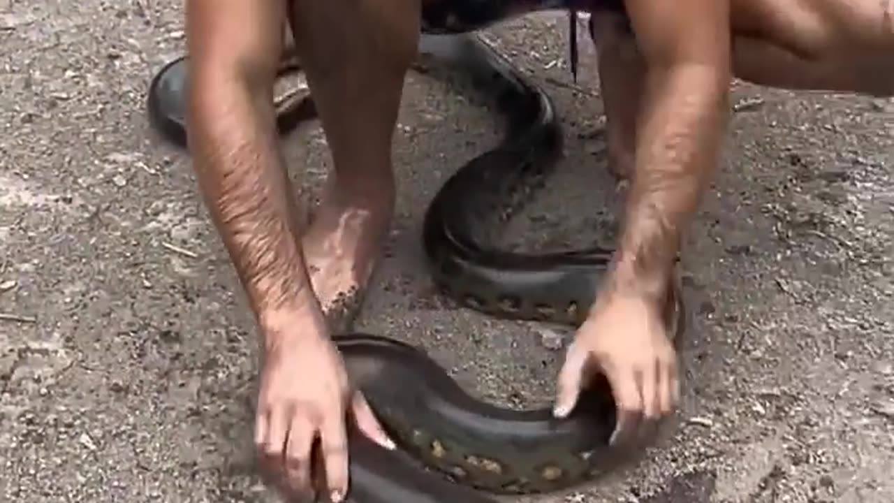 The adrenaline