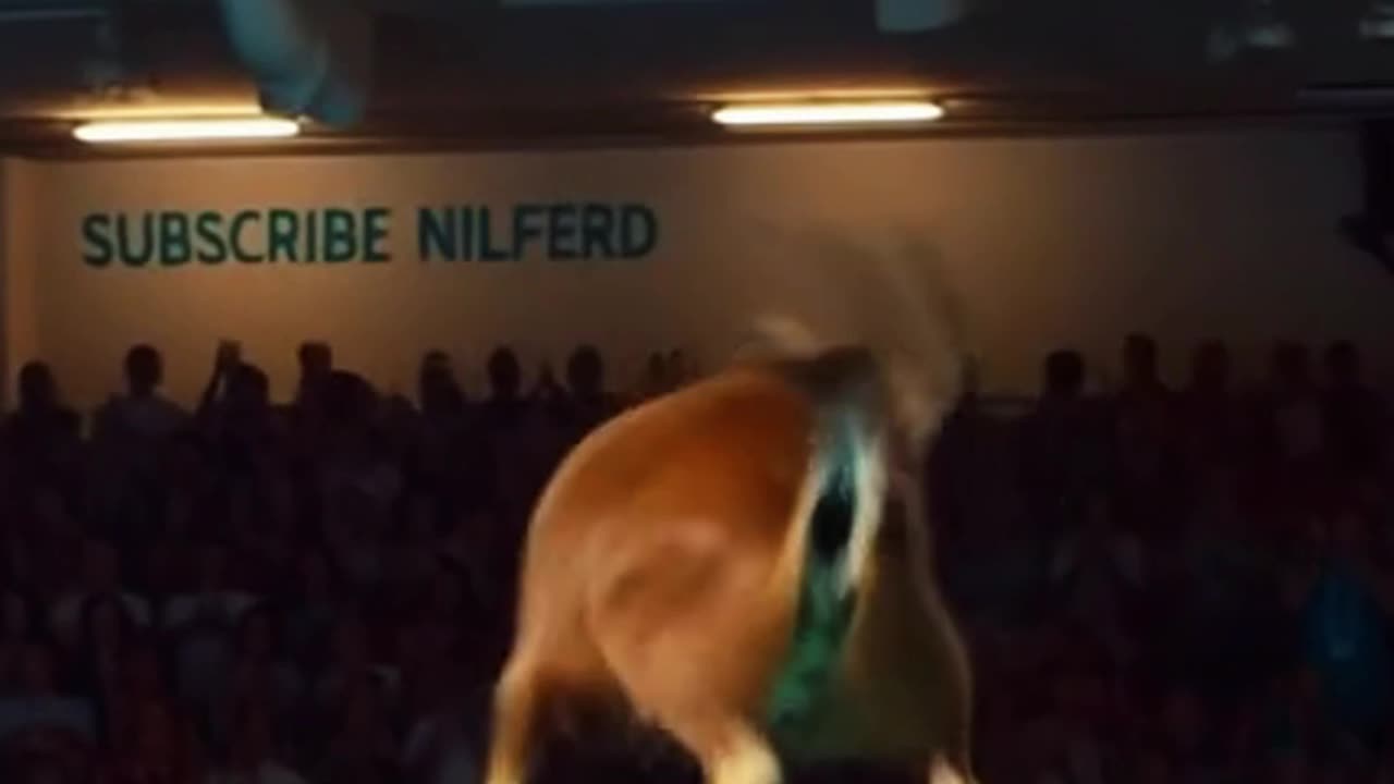 INSANE Goats in Animal Olympics