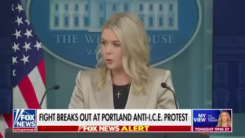 BREAKING_ Armed driver rams car into federal agents