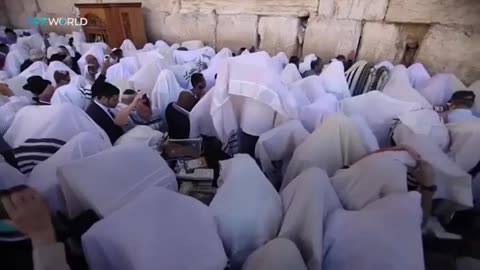 The Sephardic Chief Rabbi Compares African to Monkeys (The devil can not hide himself anymore)