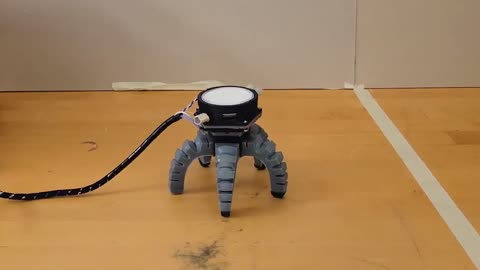 🔬✨ Researchers Use UV Stress to Control Robots with Mushrooms! | FeedMyCuriosity