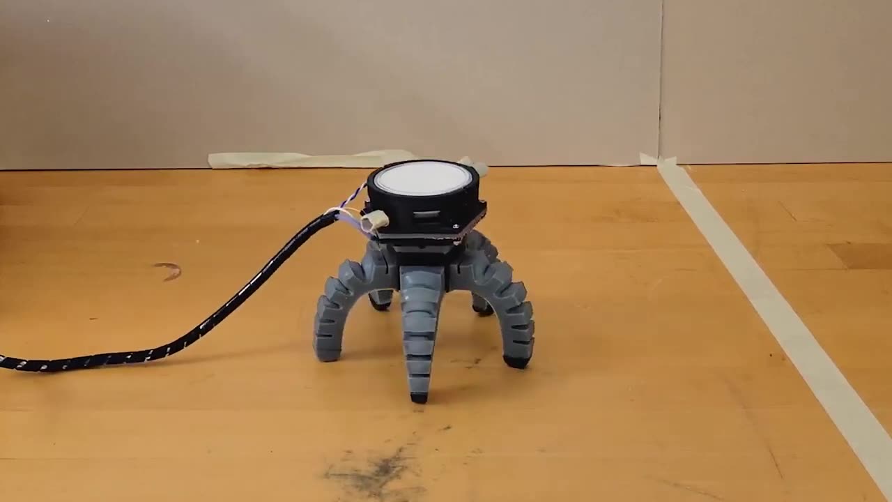 🔬✨ Researchers Use UV Stress to Control Robots with Mushrooms! | FeedMyCuriosity