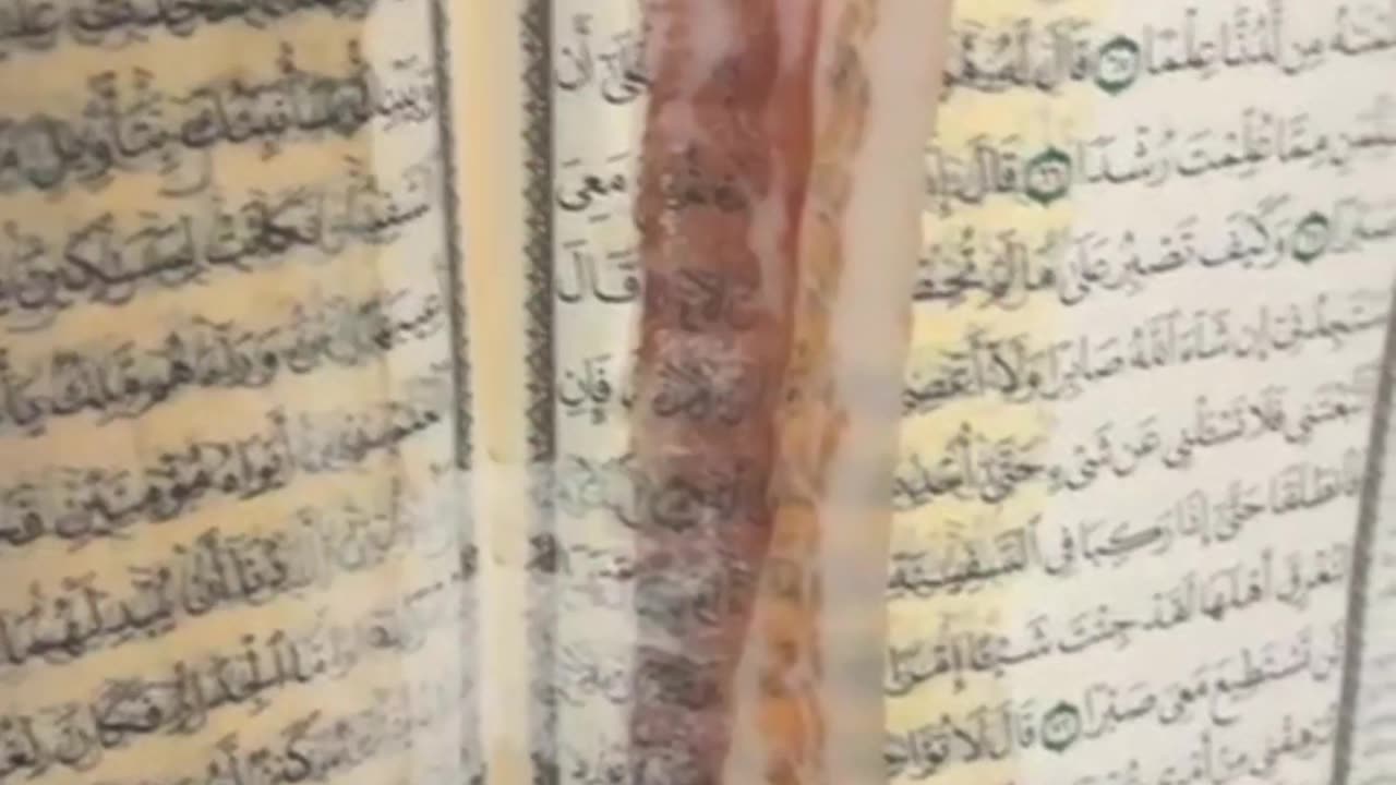 Bacon påträffades vid koraner i skola