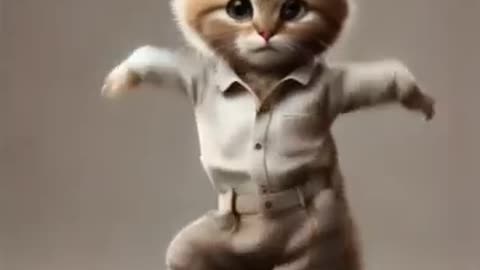 Funny cat dance 😅