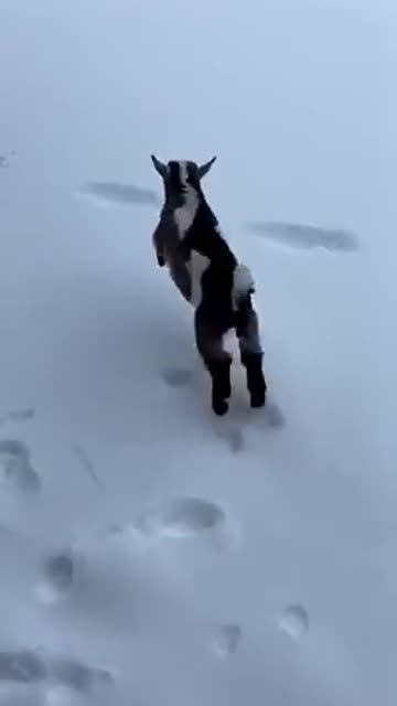 When you love the snow...
