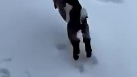 When you love the snow...