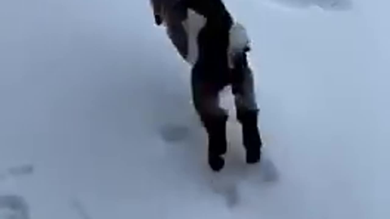 When you love the snow...