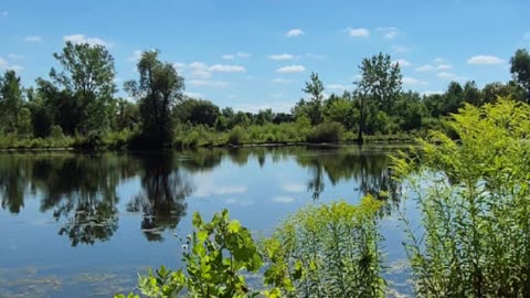 Jamaica: Major Drought that will cause Famine is coming!!