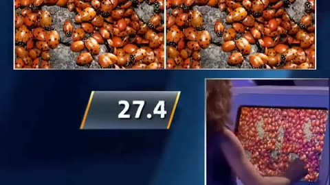 🤯📈 Meet The 9-Year-Old Genius Who Can Spot The Difference! | FeedMyCuriosity
