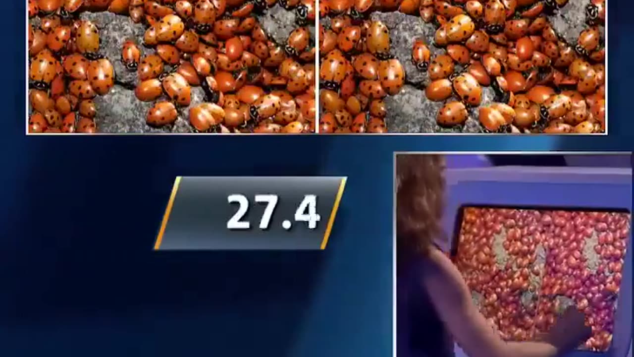 🤯📈 Meet The 9-Year-Old Genius Who Can Spot The Difference! | FeedMyCuriosity