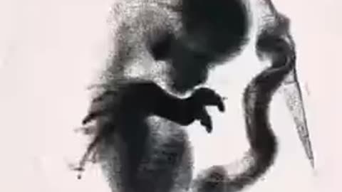 Advanced teck is you