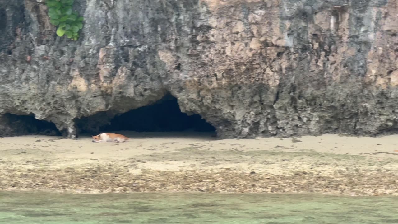 Sugba Lagoon in Siargao, Philippines (part 3)