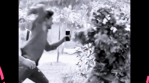 Funny video