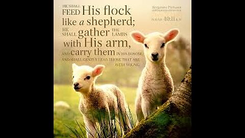Verse Of The Day : Isaiah 40:11 He tends his flock like a shepherd: He gathers the lambs