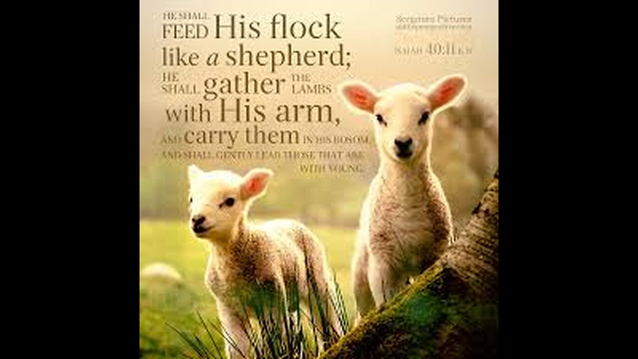 Verse Of The Day : Isaiah 40:11 He tends his flock like a shepherd: He gathers the lambs