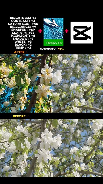 Tree Colour Edit part 9 🌿👻🤭 Jimid Kayed #foryou #Viral #trending #funny #Viralvideo