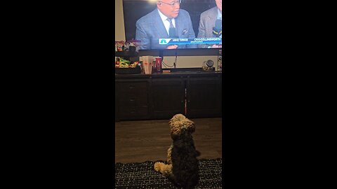 Sunday night football