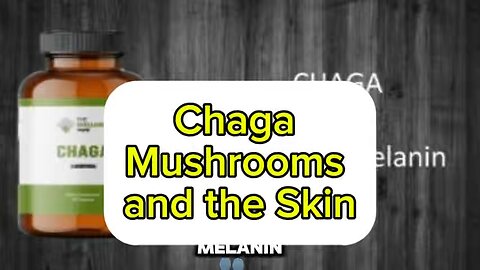 Chaga Mushrooms! From the LIVE broadcast.