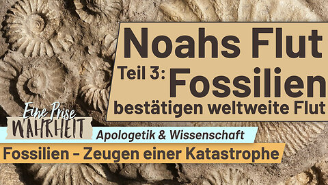 Fossilien bestätigen weltweite Flut - Noahs Flut, Teil 3 | Apologetik