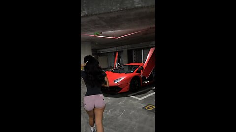 Hot girl and the car