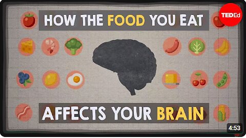 How the food you eat affects your brain - Mia Nacamulli