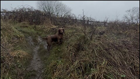 15/12/25 trail run with willow