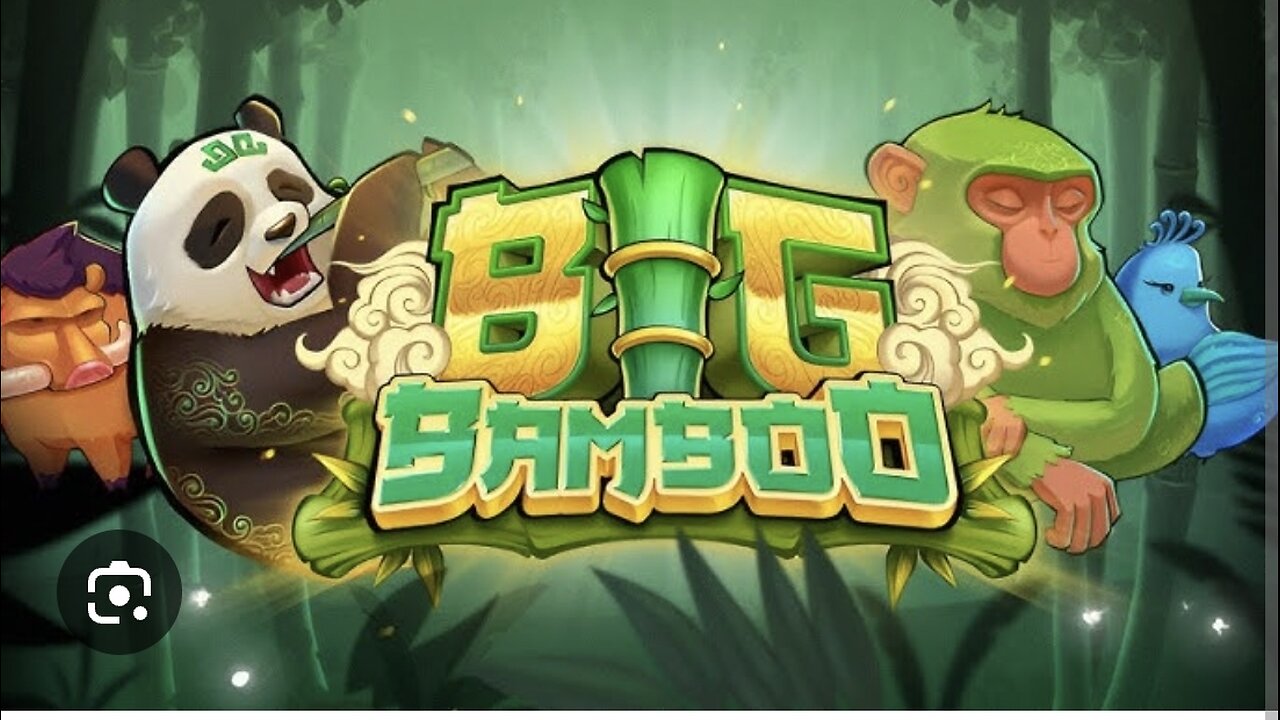 BIG BAMBOO PUSH GAMING