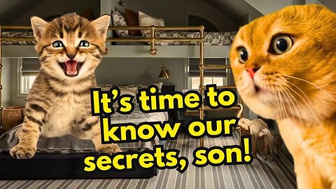 When a Cat Father Tells His Kitten About the Secret of Cats (Ep.34)