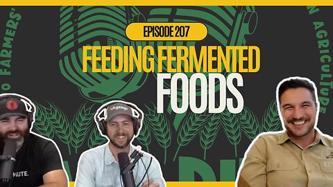 Ep. 207: Meet the Man Feeding America’s Gut with Real Fermented Food feat. Jorge Azevedo