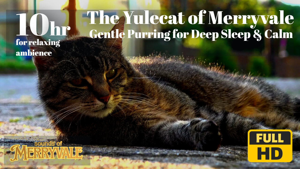 Merryvale Sounds - 10 Hours of the Yulecat of Merryvale | Cat Purring for Deep Sleep & Calm