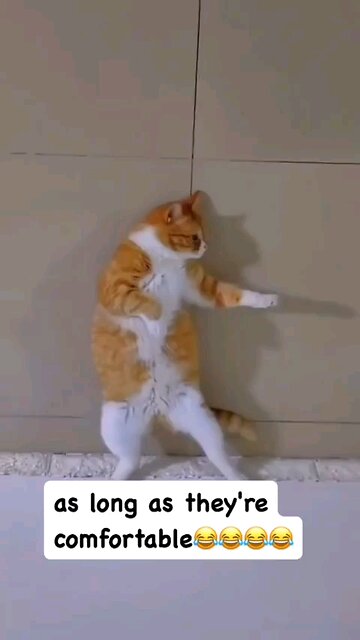 As long as they're comfortable...