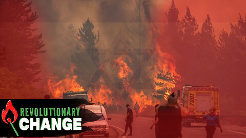 Here's Why Israelis BURNED DOWN Patagonia & Milei Did NOTHING About It