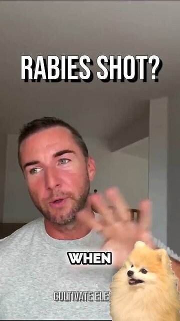 Rabies Real Or Another Scare Money Making Ploy