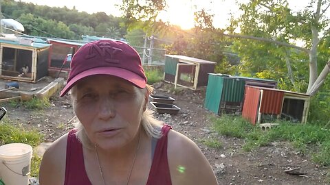 2025 11 16 Off-grid with Marjory Wildcraft