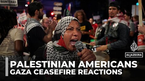 Palestinian Americans react to ceasefire: Chicago's community is hopeful and sceptical