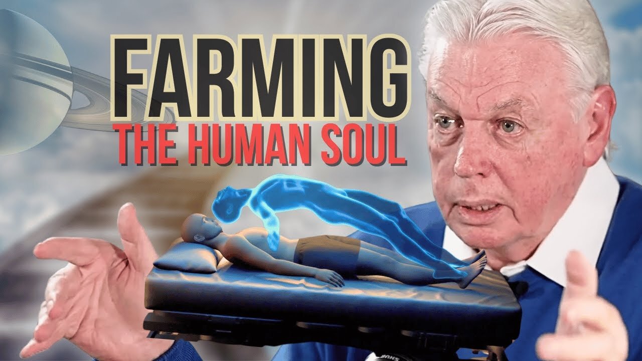 David Icke on Nature of Reality, NDEs & Reincarnation Trap